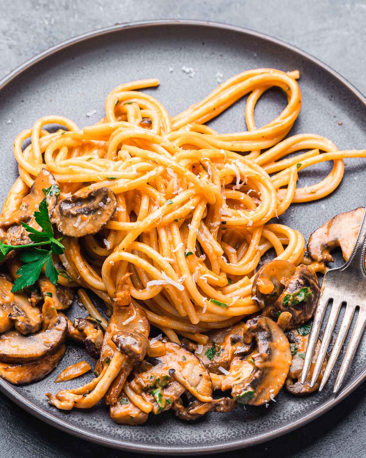 Brandy mushroom cream sauce pasta in plate with sprinkle of parsley and cheese.