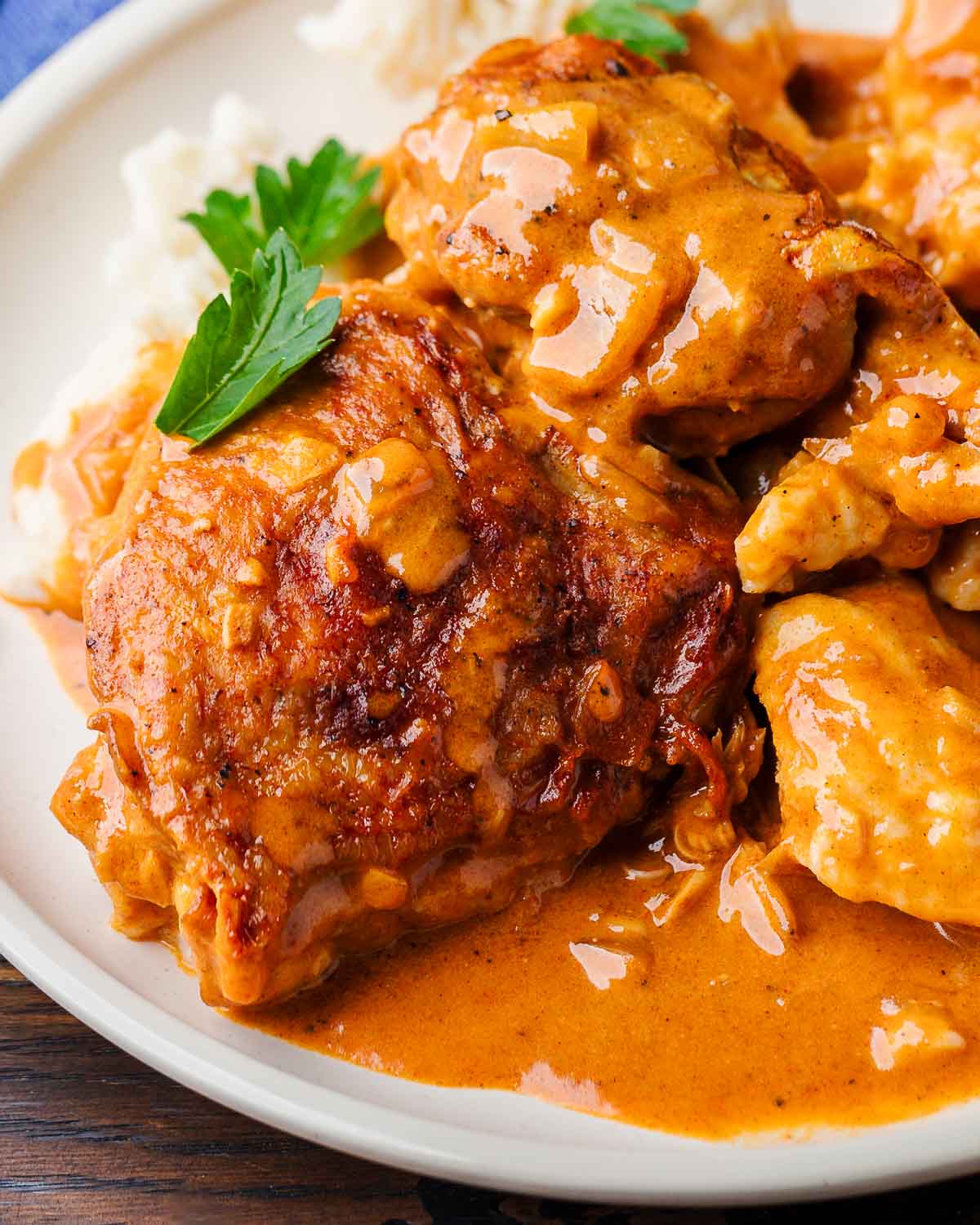 Chicken paprikash and dumplings in white plate.