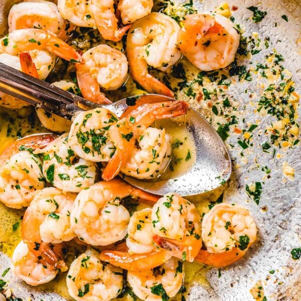 Shrimp scampi featured image.